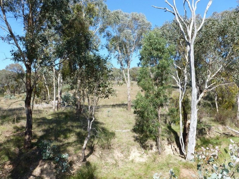 2974 Taylors Flat Road, Boorowa NSW 2586