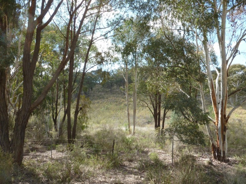 261 Maryvale Road, Boorowa NSW 2586