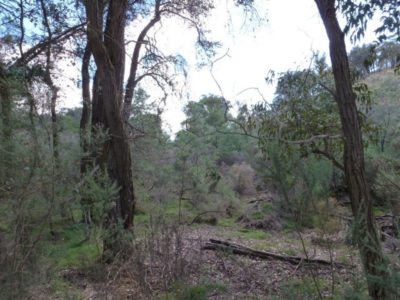261 Maryvale Road, Boorowa NSW 2586