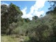 261 Maryvale Road, Boorowa NSW 2586