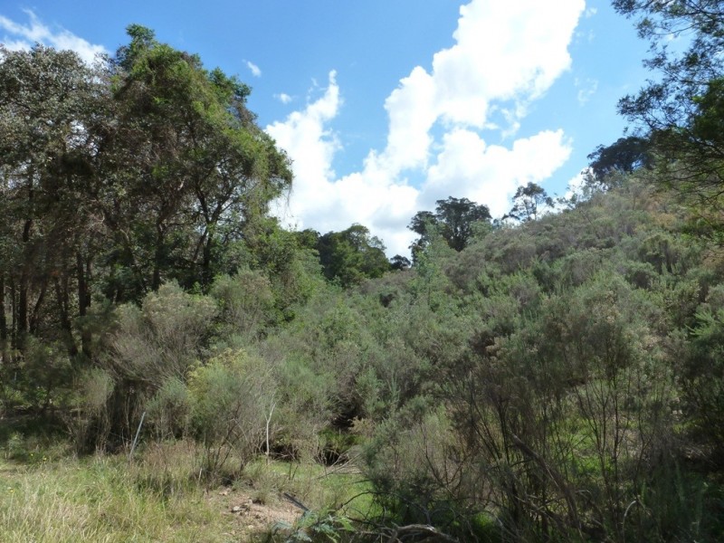261 Maryvale Road, Boorowa NSW 2586