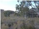 261 Maryvale Road, Boorowa NSW 2586