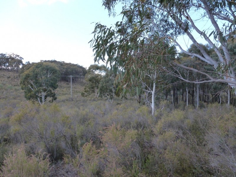 261 Maryvale Road, Boorowa NSW 2586