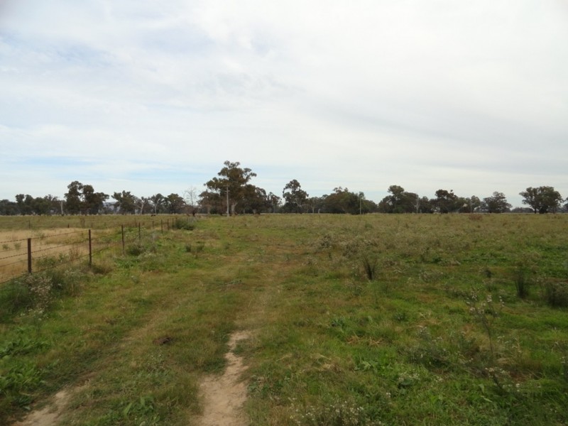 1 Mate Street, Morven NSW 2370