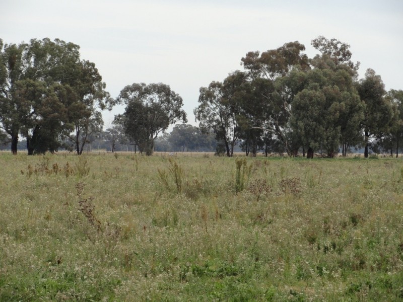 1 Mate Street, Morven NSW 2370