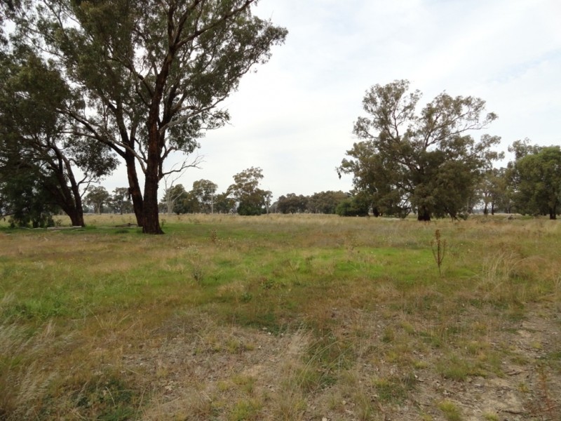 1 Mate Street, Morven NSW 2370