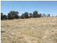Table Top NSW 2640