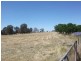 Table Top NSW 2640