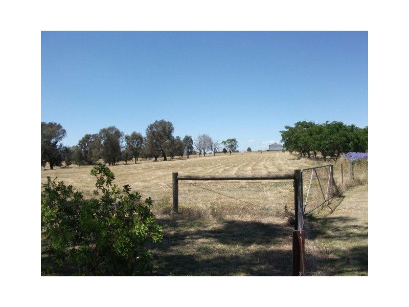 Table Top NSW 2640