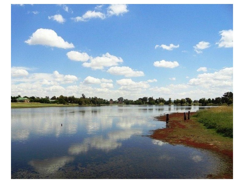 Table Top NSW 2640