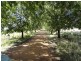 371 Stoney Park Road, Burrumbuttock NSW 2642