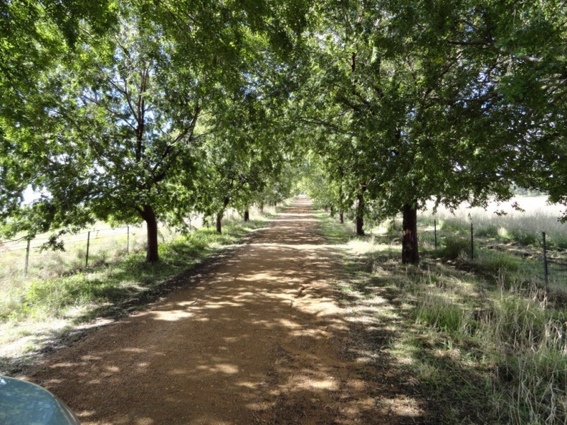 371 Stoney Park Road, Burrumbuttock NSW 2642