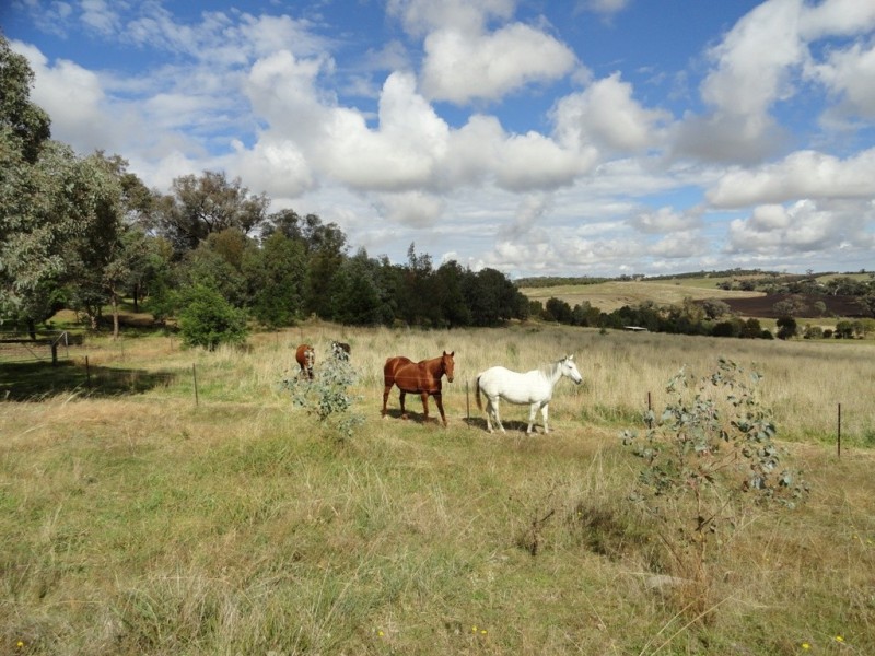 371 Stoney Park Road, Burrumbuttock NSW 2642