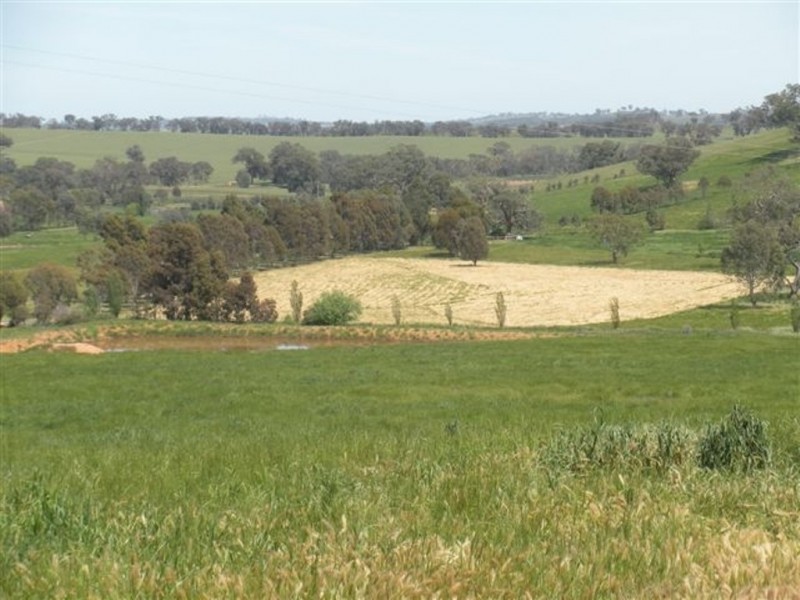 371 Stoney Park Road, Burrumbuttock NSW 2642
