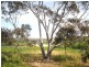 371 Stoney Park Road, Burrumbuttock NSW 2642
