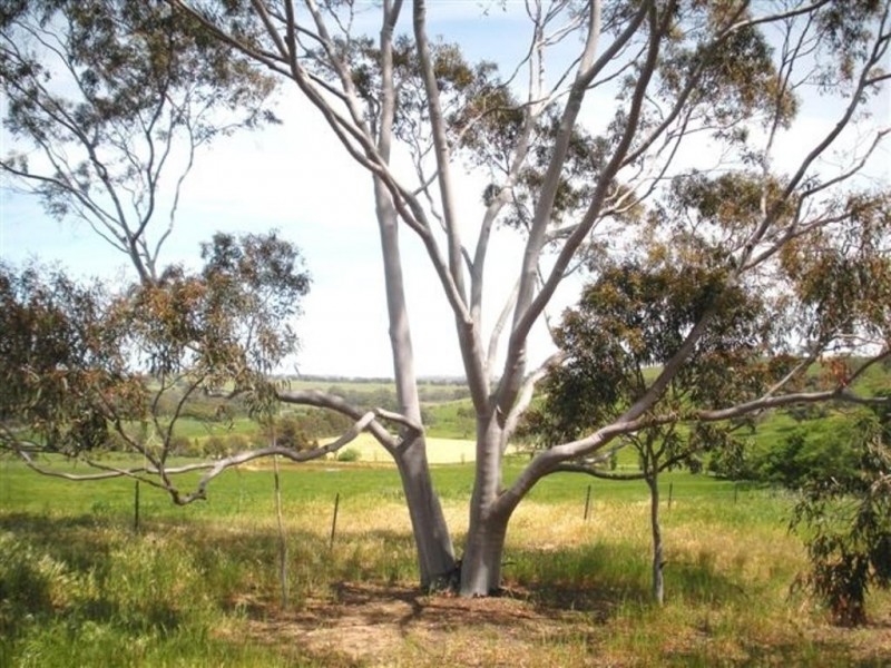 371 Stoney Park Road, Burrumbuttock NSW 2642