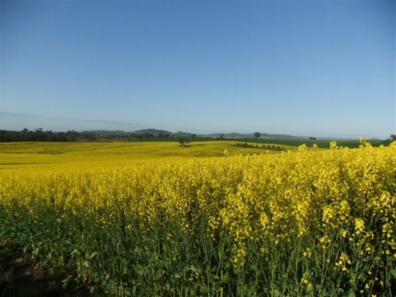 371 Stoney Park Road, Burrumbuttock NSW 2642