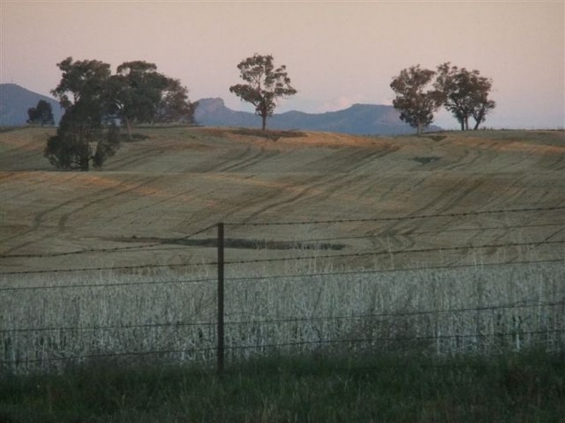 371 Stoney Park Road, Burrumbuttock NSW 2642