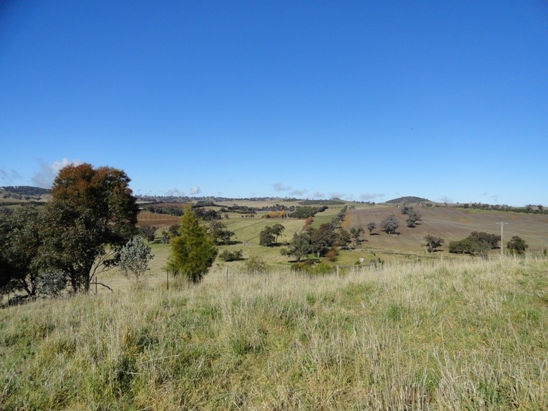 371 Stoney Park Road, Burrumbuttock NSW 2642