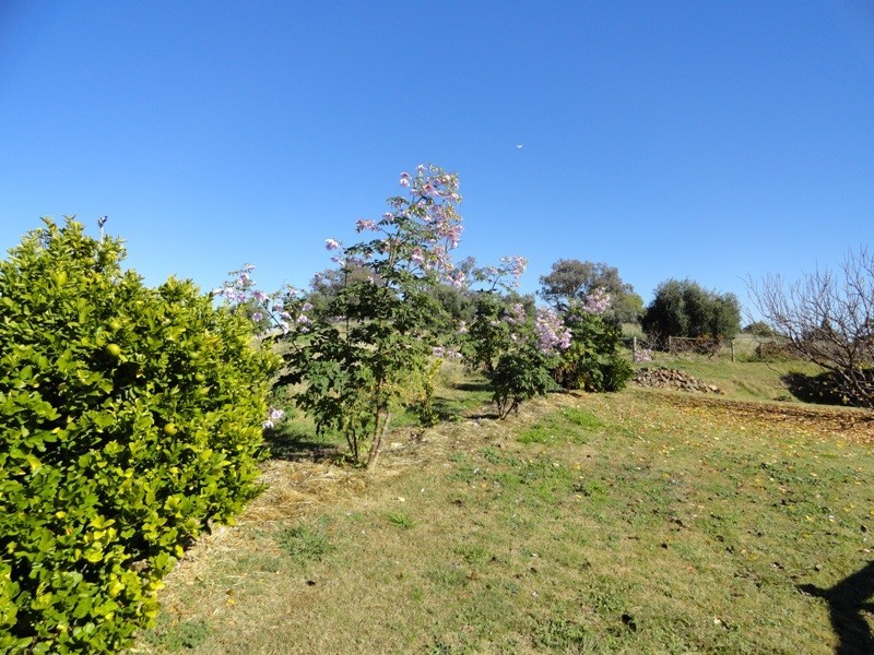 371 Stoney Park Road, Burrumbuttock NSW 2642
