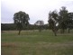 -902 Reids Flat Road, Bigga NSW 2583