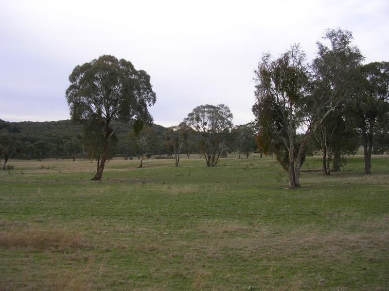 -902 Reids Flat Road, Bigga NSW 2583