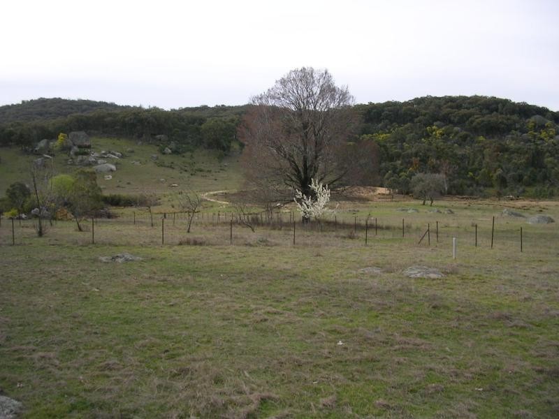-902 Reids Flat Road, Bigga NSW 2583