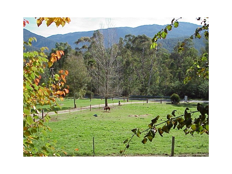 1191 Buckland Valley Road, Porepunkah, via, Bright VIC 3741