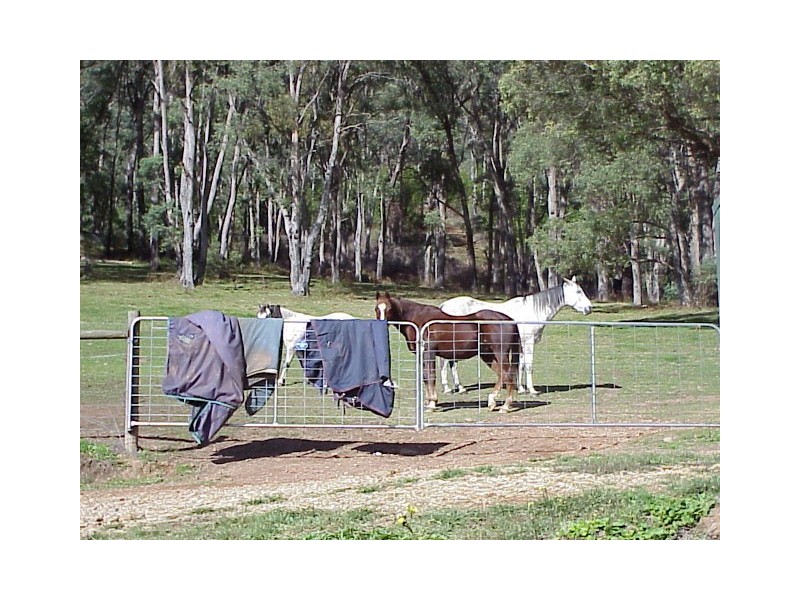 1191 Buckland Valley Road, Porepunkah, via, Bright VIC 3741