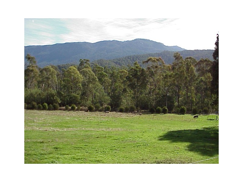 1191 Buckland Valley Road, Porepunkah, via, Bright VIC 3741