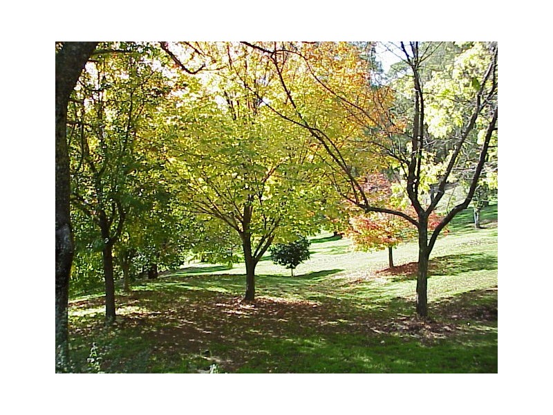 1191 Buckland Valley Road, Porepunkah, via, Bright VIC 3741