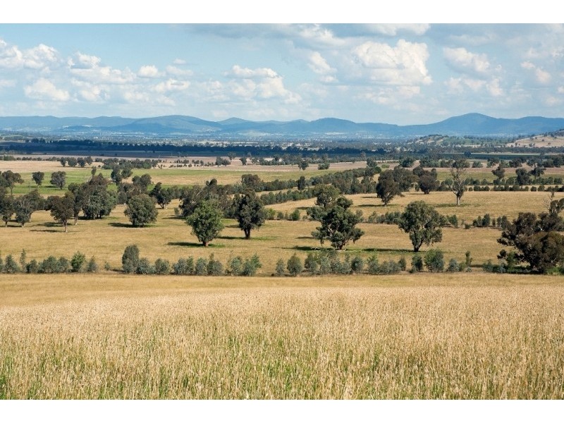 “Aberfeldy” Hume Freeway, Holbrook NSW 2644