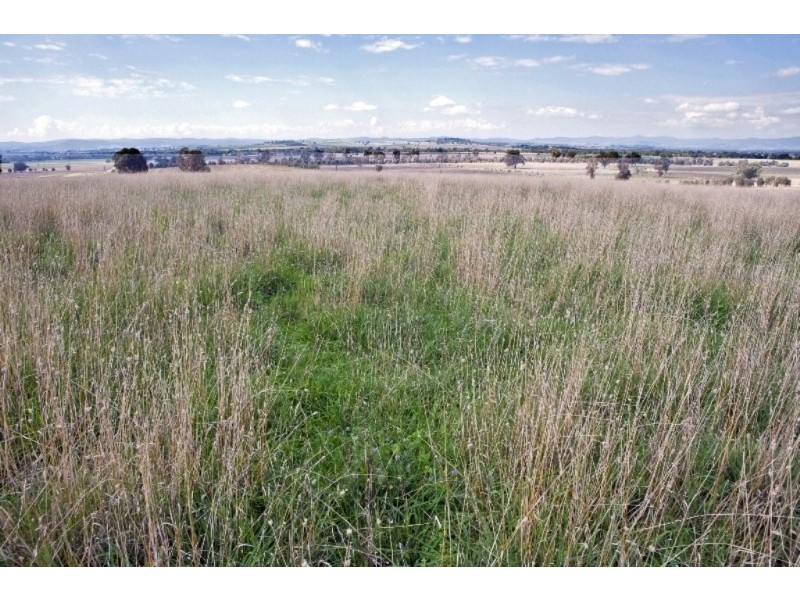 “Aberfeldy” Hume Freeway, Holbrook NSW 2644