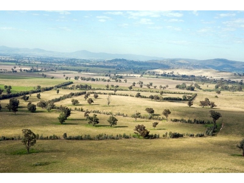 “Aberfeldy” Hume Freeway, Holbrook NSW 2644