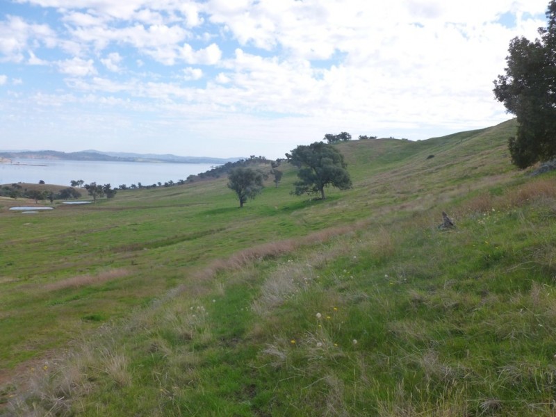 Bowna NSW 2644