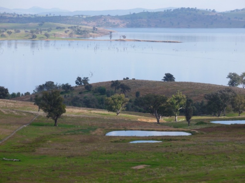 Bowna NSW 2644