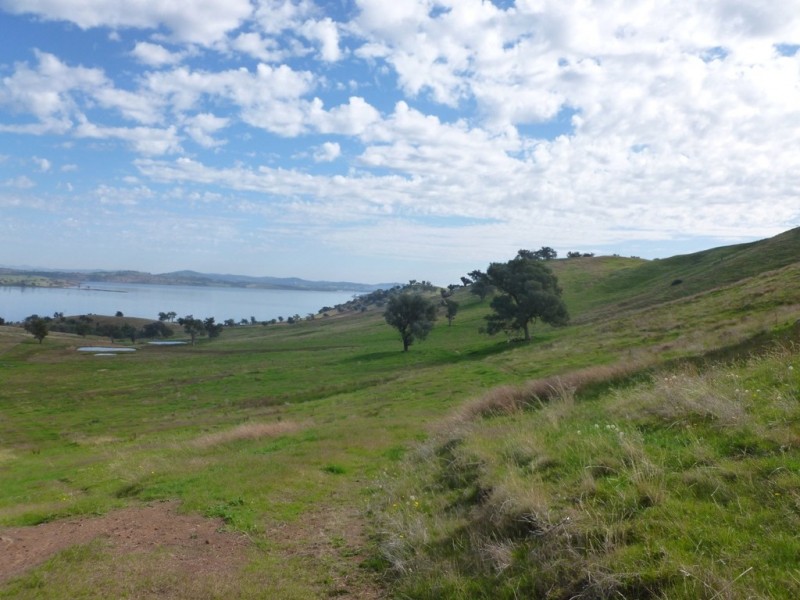 Bowna NSW 2644