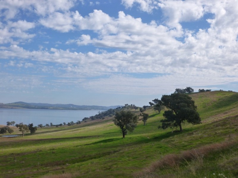 Bowna NSW 2644