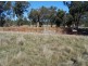 The Rock NSW 2655