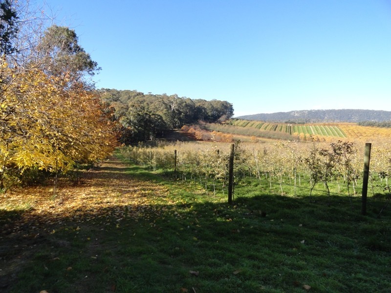 Lot 5 and 26 Cue Springs Road, Stanley VIC 3747