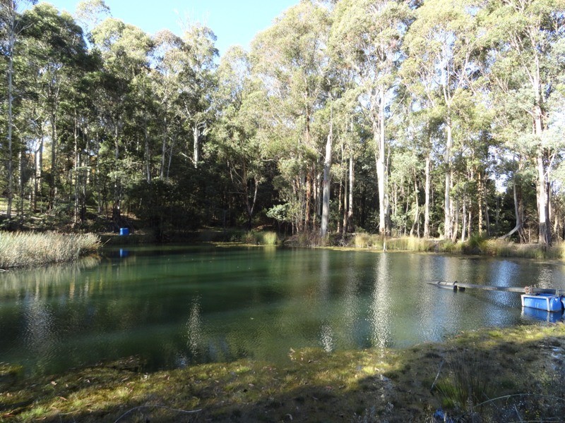 Lot 5 and 26 Cue Springs Road, Stanley VIC 3747