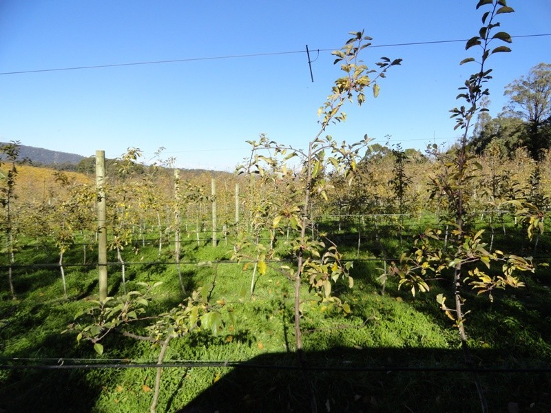 Lot 5 and 26 Cue Springs Road, Stanley VIC 3747