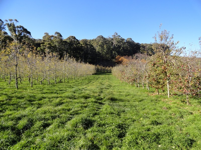 Lot 5 and 26 Cue Springs Road, Stanley VIC 3747