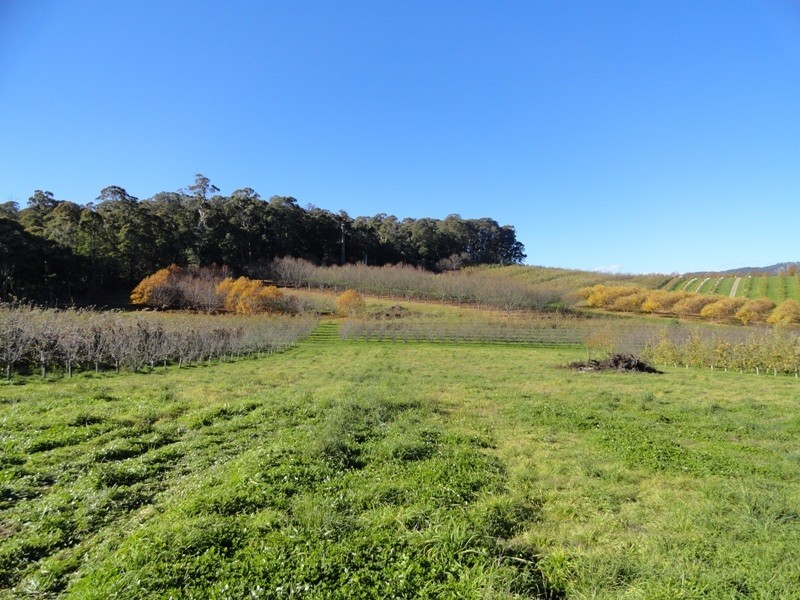 Lot 5 and 26 Cue Springs Road, Stanley VIC 3747