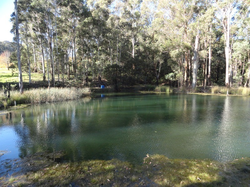 Lot 5 and 26 Cue Springs Road, Stanley VIC 3747