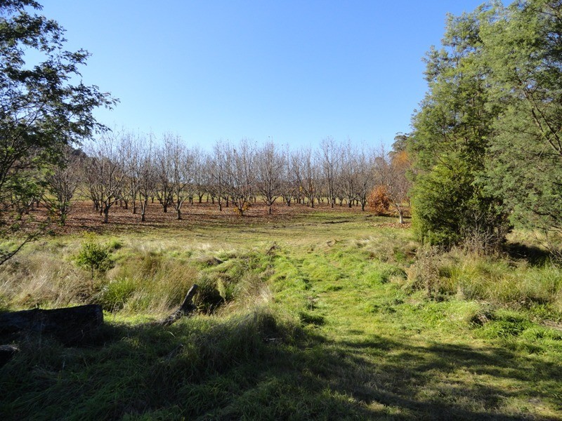 Lot 5 and 26 Cue Springs Road, Stanley VIC 3747