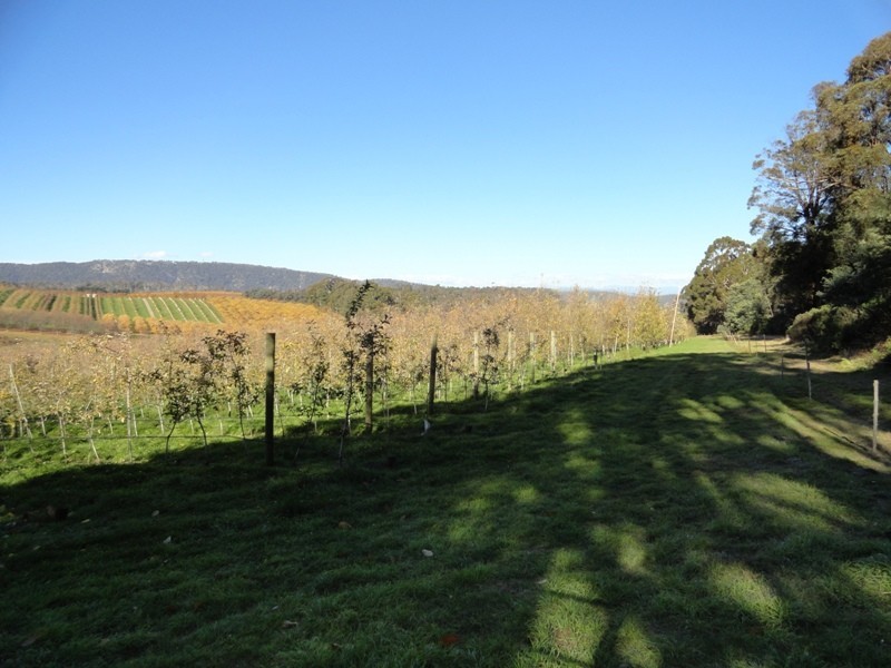 Lot 5 and 26 Cue Springs Road, Stanley VIC 3747