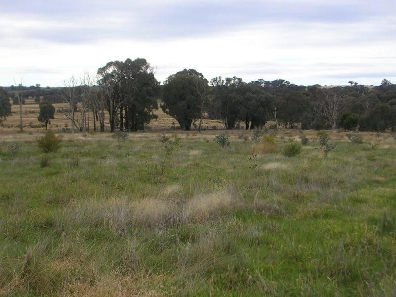 - Fernhill Road, Crowther NSW 2803
