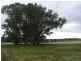 - Fernhill Road, Crowther NSW 2803