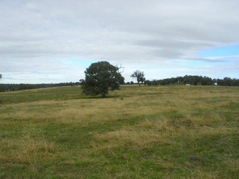 - Fernhill Road, Crowther NSW 2803